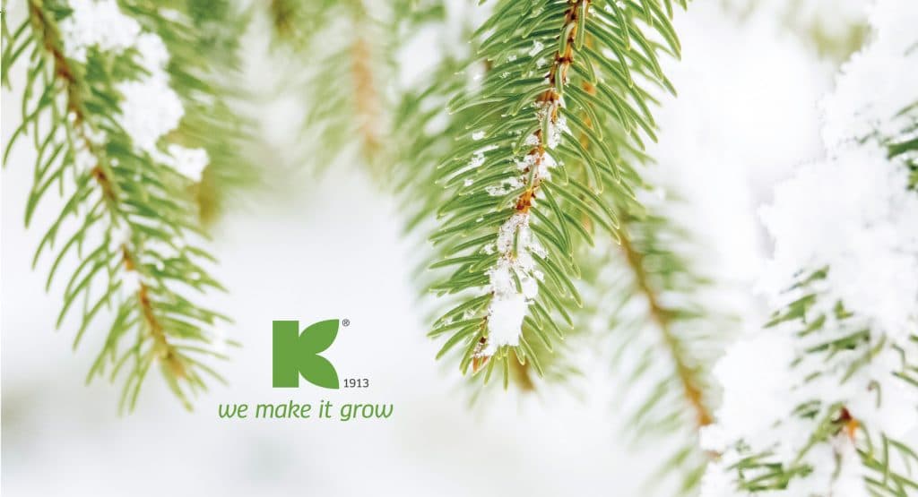 2016-12-23-bb-weihnachtswuensche