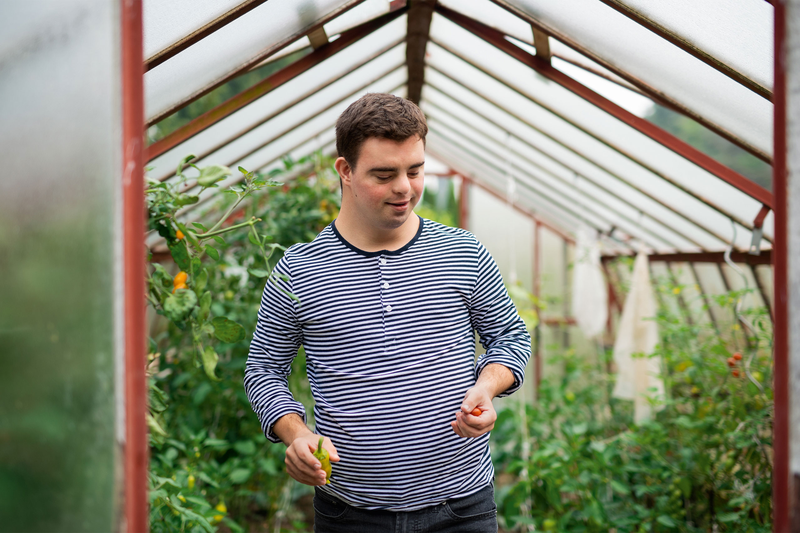 florabella_man_greenhouse blank