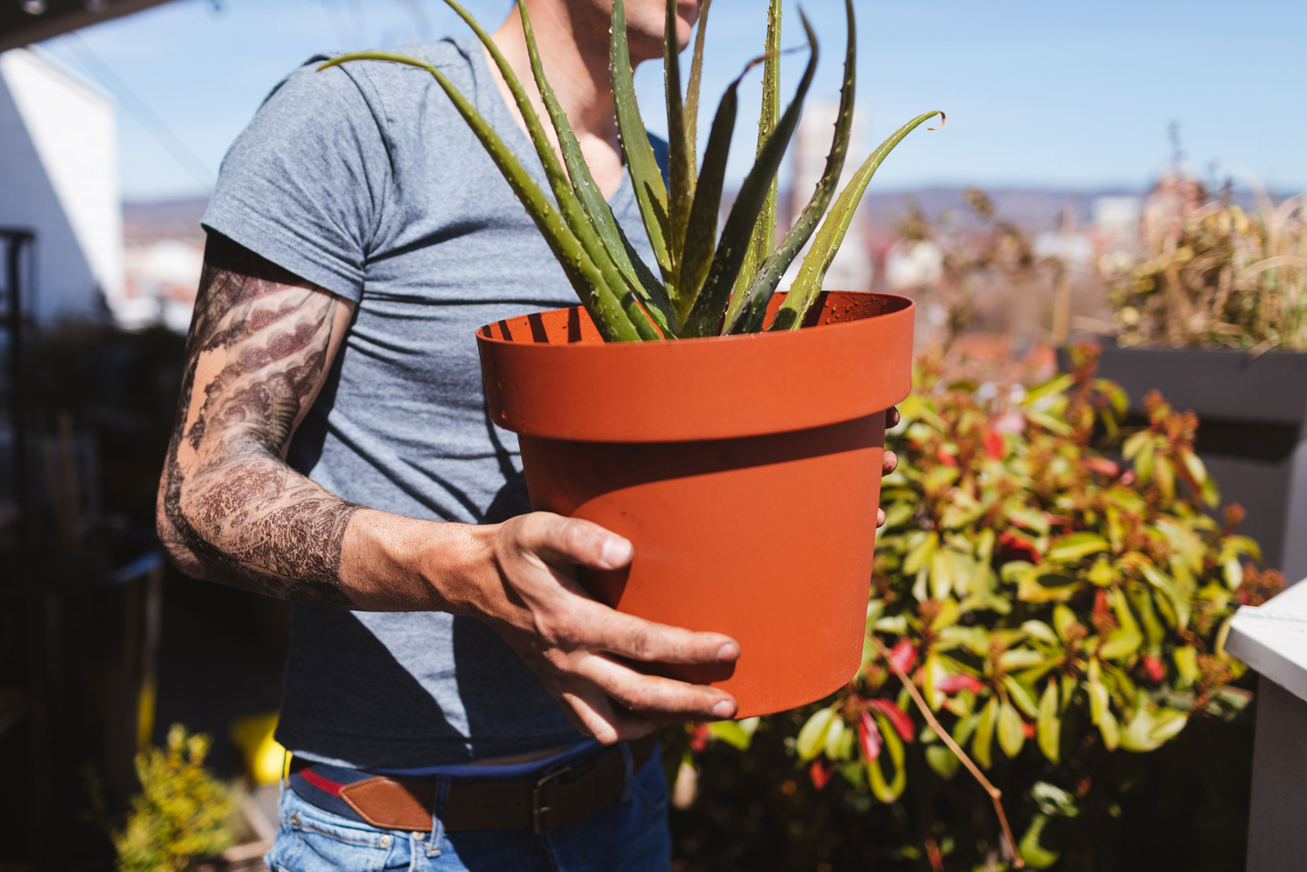 florabella_man_with_plant blank