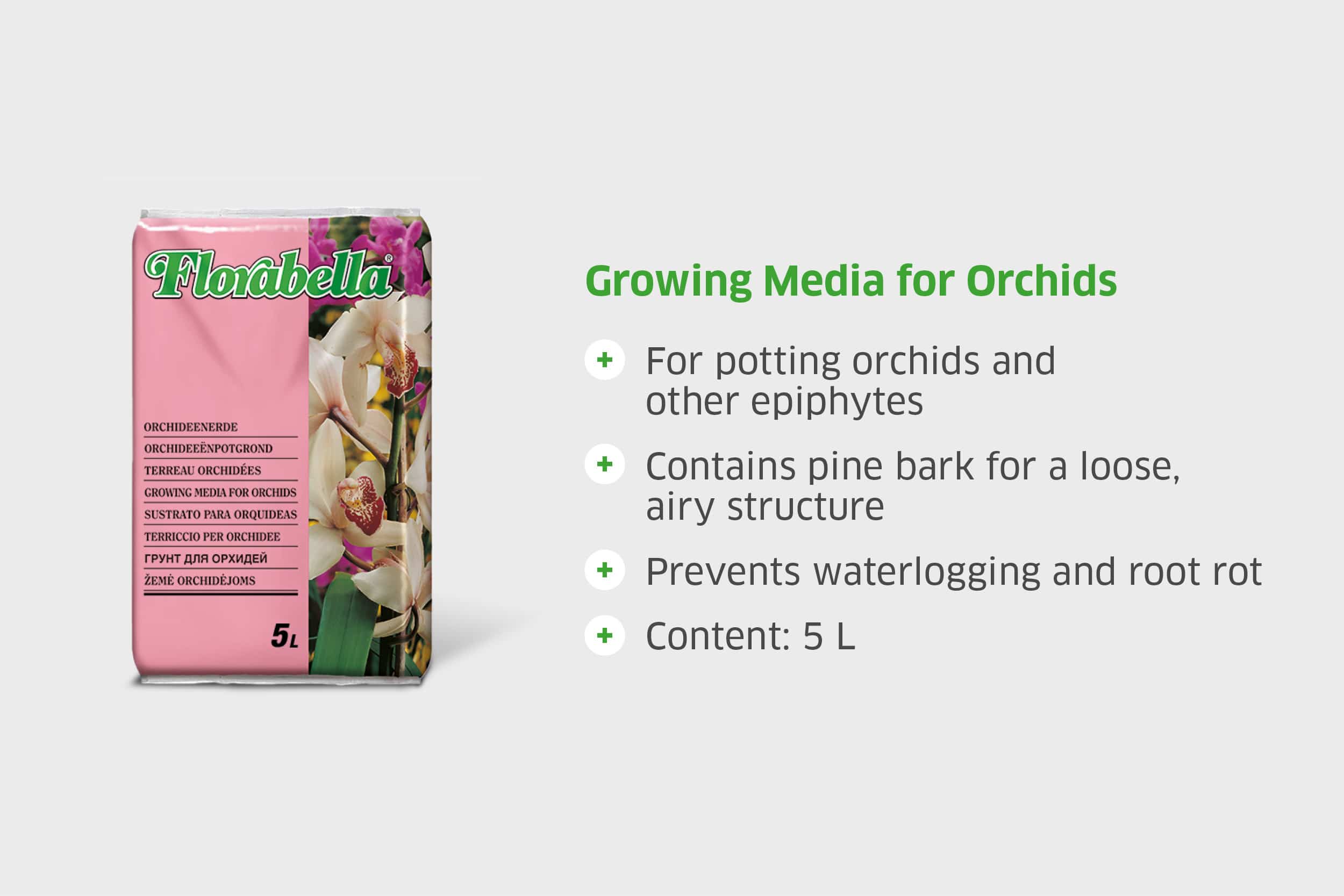 florabella_products_orchids_v02 blank