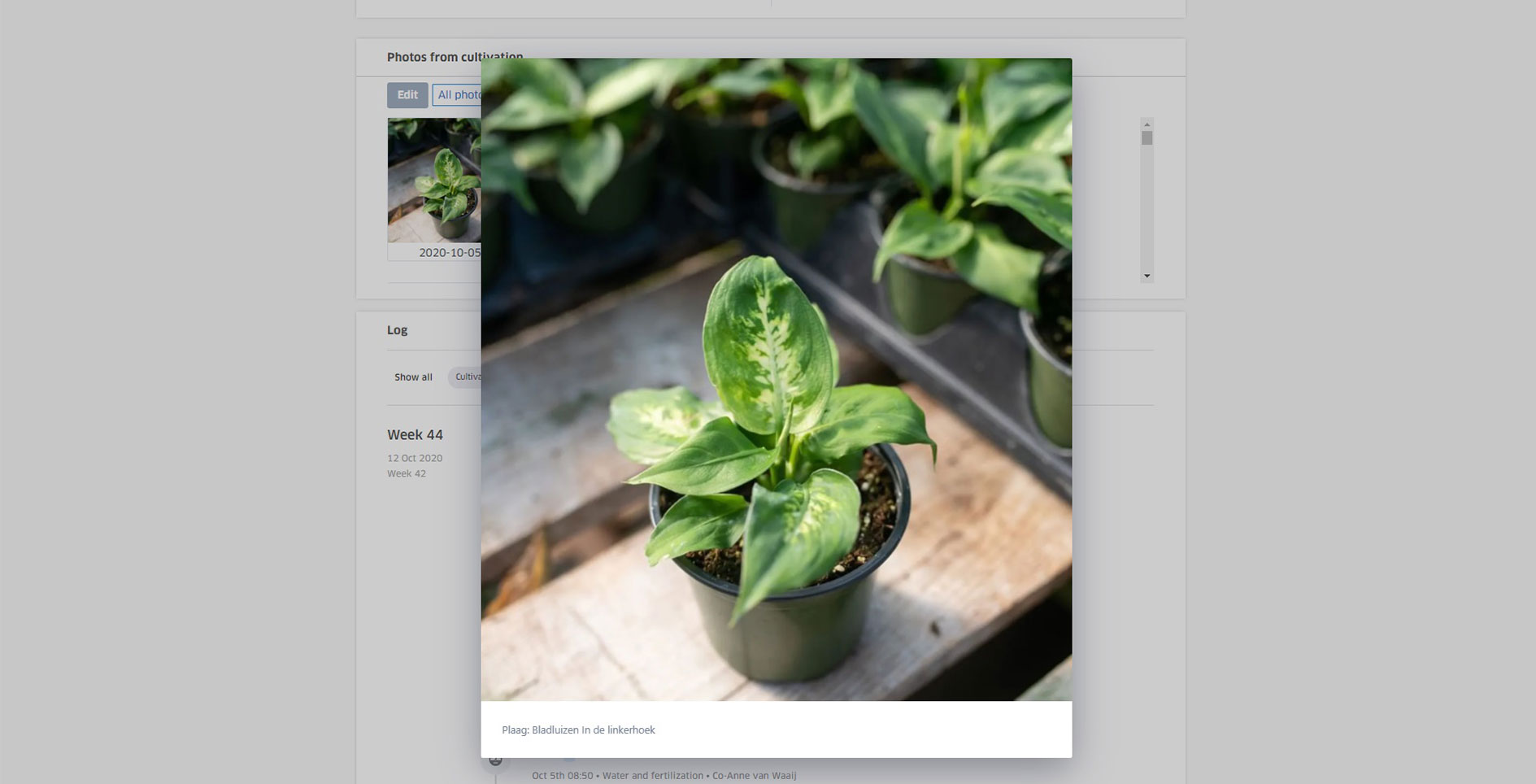 klasmann_deilmann_log_and_solve_platform_screenshot_basil_ screenshot of log & solve platform