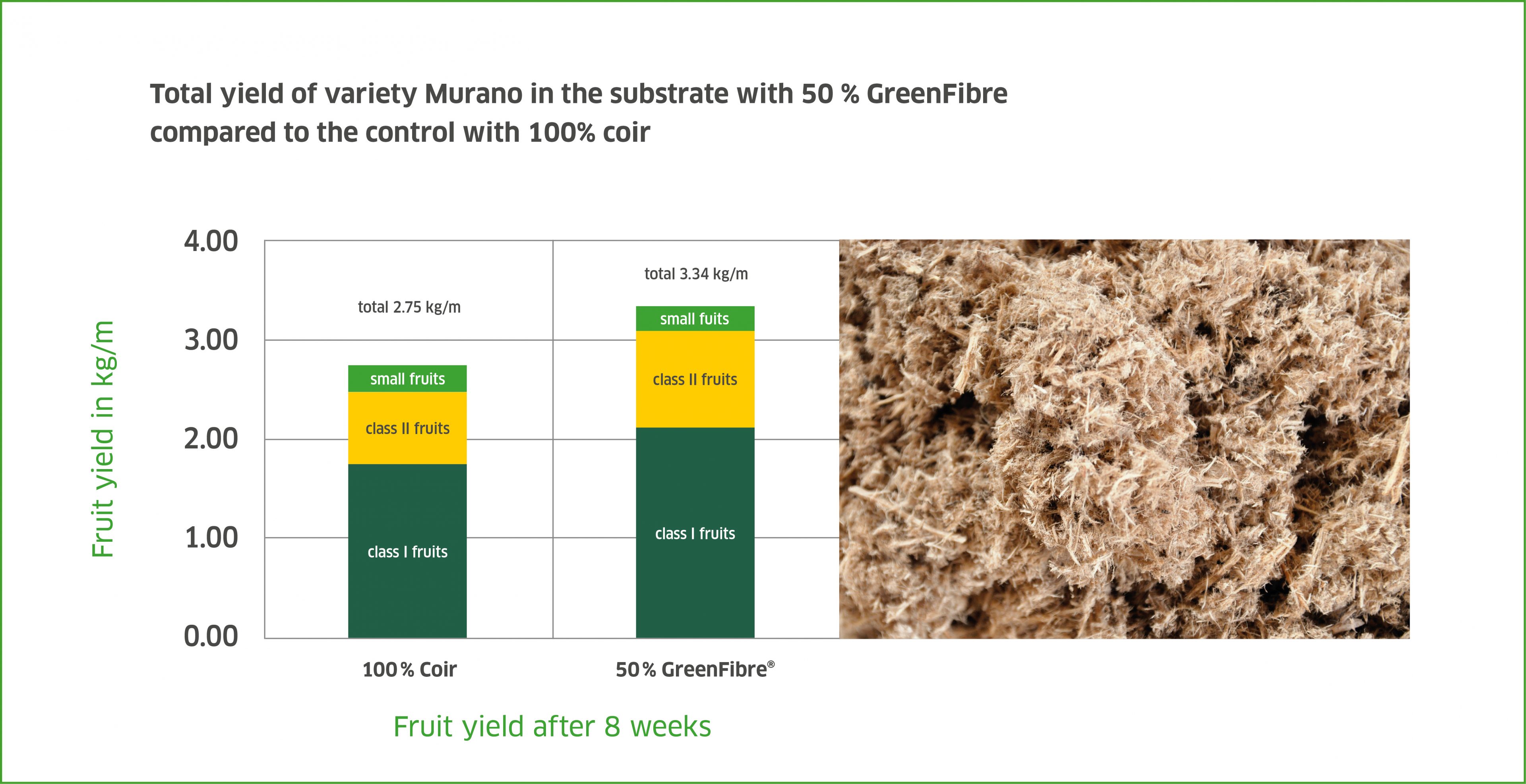total_yield_of_variety_Murano_in_the_substrate_Klasmann-Deilmann